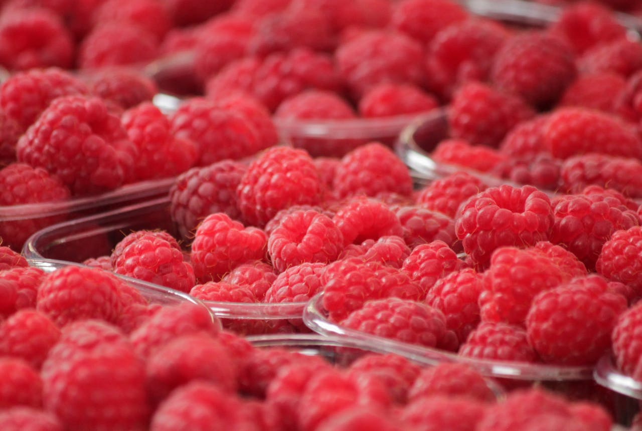A vibrant close-up of fresh red raspberries in plastic containers, perfect for healthy snacking.